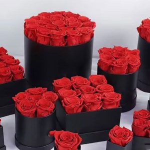 هارد باکس گل - آتیس باکس